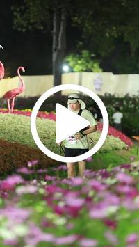 BIB:  <button type="button" onclick="openModal(27589905)" class="btn btn-primary btn-sm float-right" data-toggle="modal" data-target=".modal-high-quality">
                <i class="fa fa-download"></i> Download
                </button>